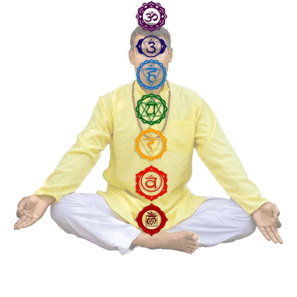 Prana Shakti Yoga Course chakra