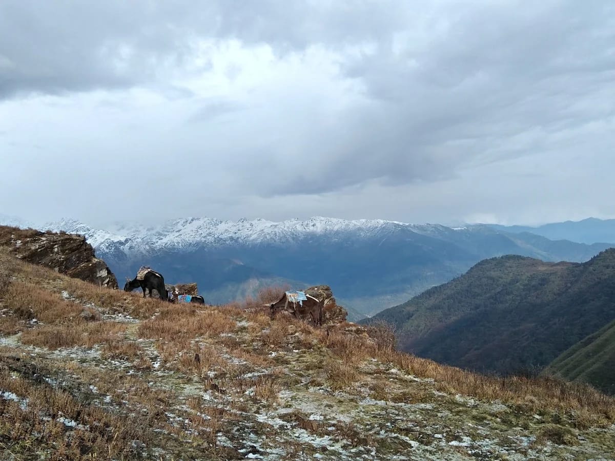 Jugal Himal Base Camp yoga trekking route in Nepal