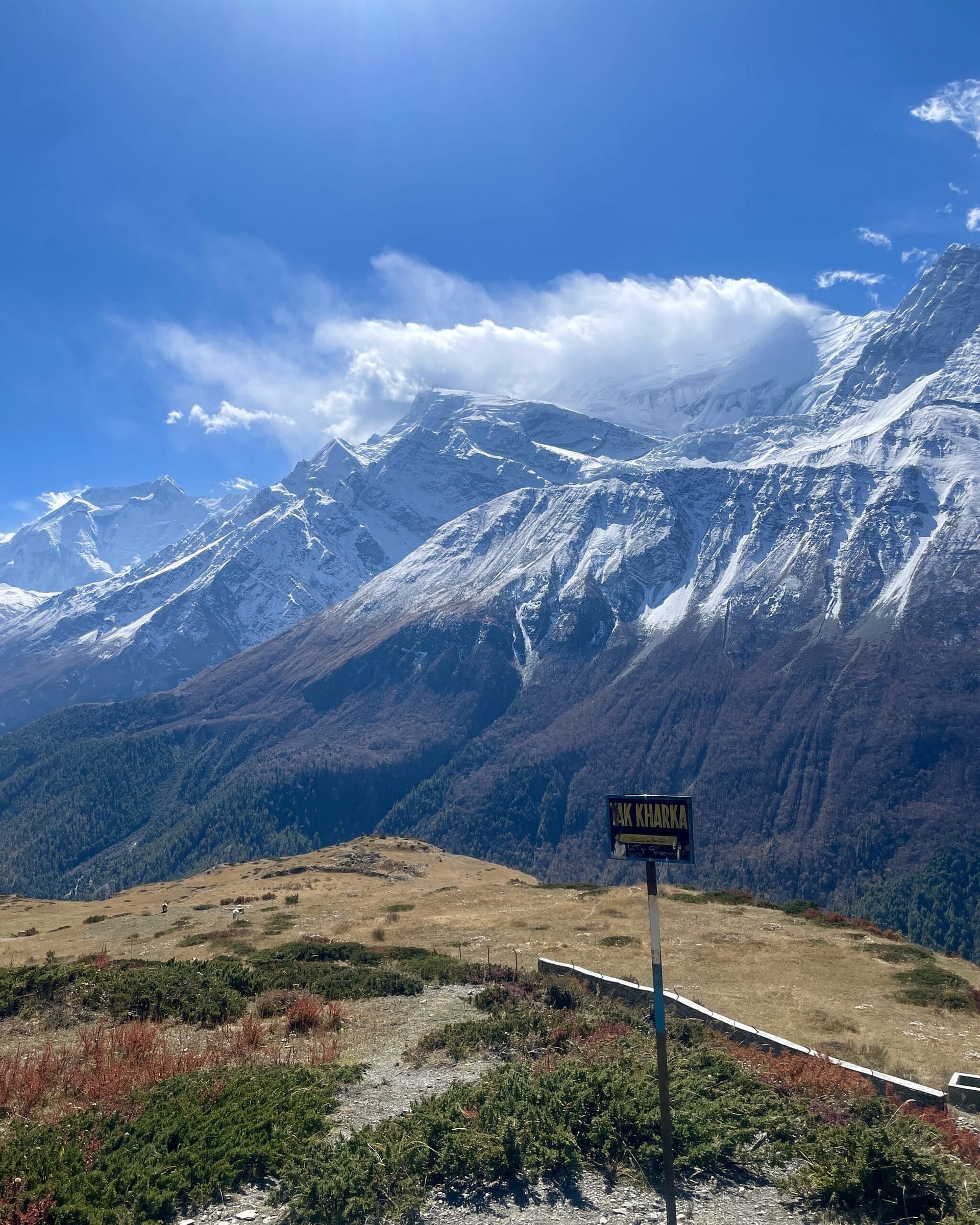 Yoga Trekking in Nepal by Niru Yoga Homestay