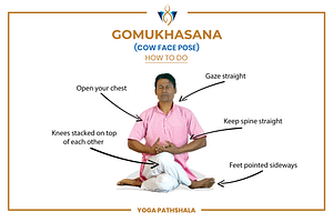 Read more about the article All in one great”Gomukhasana” yoga poses, steps, benifit, precaution & how to do!