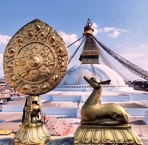 Best Yoga Retreat in Nepal Niru Yoga Homestay