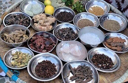 Ayurveda Lesson Best yoga retreat in Nepal, Ayurveda Rereat