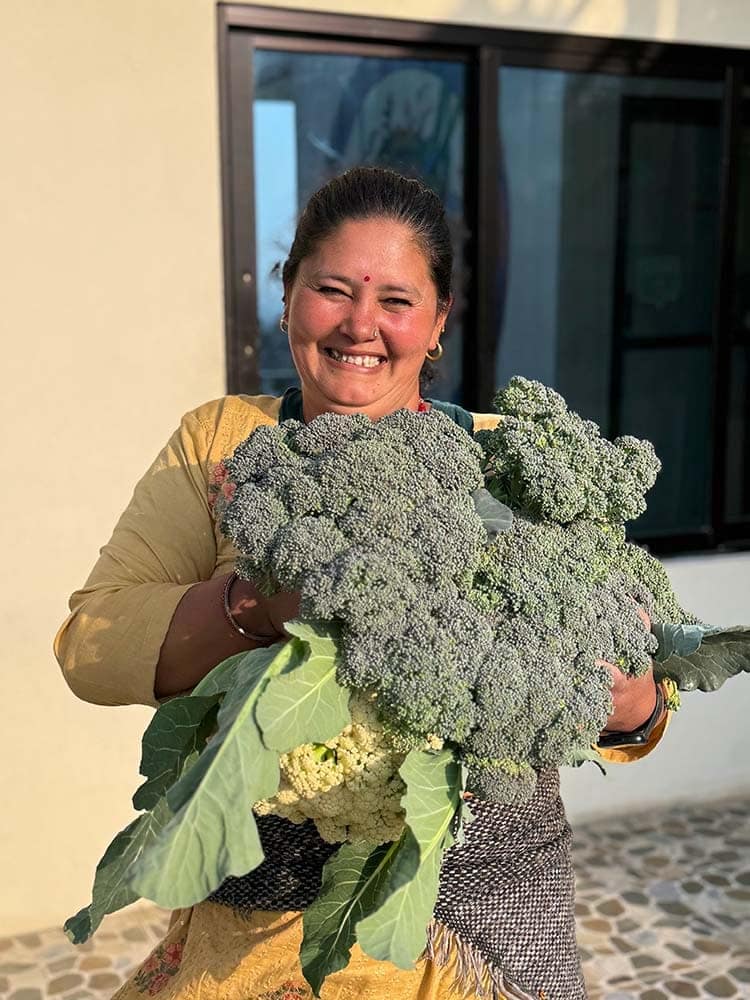 Organic vegitable Niru