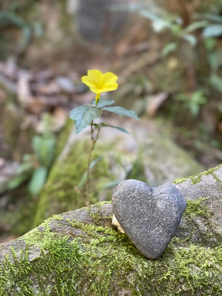 yoga retreat in Nepal