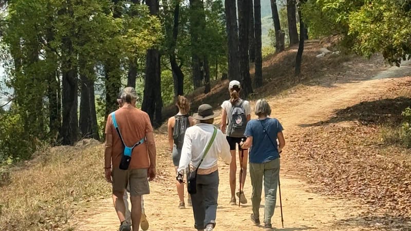 Small group walking on a mountain trail during yoga trekking in Nepal