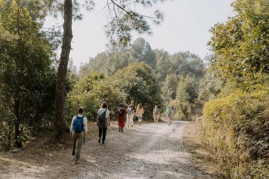 Guests enjoying a guided nature hike through a forest near Nagarkot Phedi, Nepal