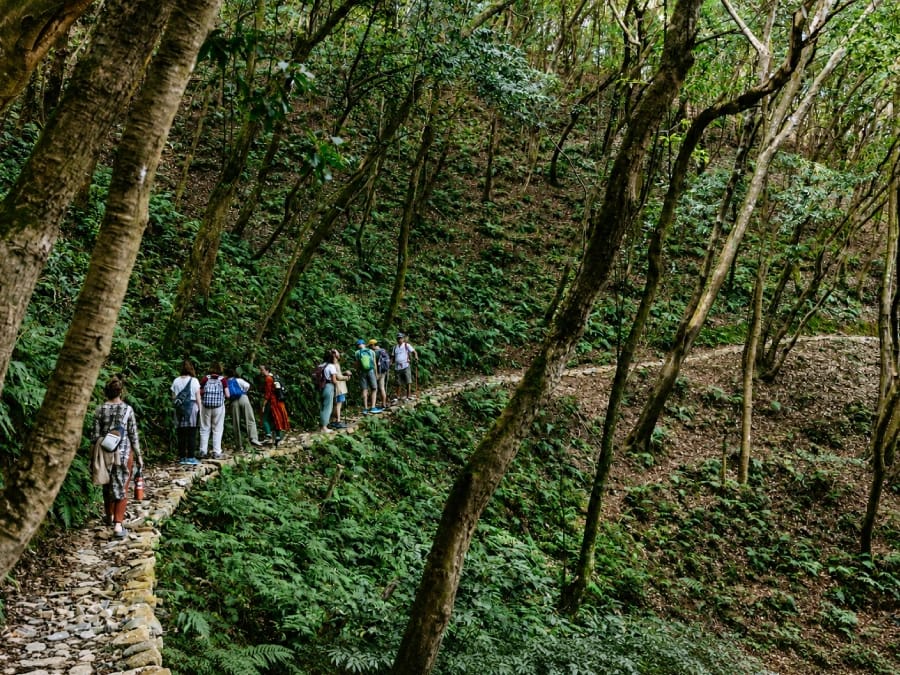Group hiking during a yoga retreat in Nagarkot Phedi Nepal